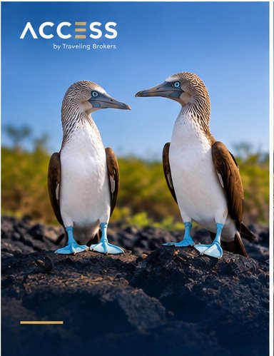 Galápagos 2x1 — Santa Cruz 4D/3N | Hotel Turista